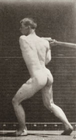 Plate 278 Baseball, batting — figure reference